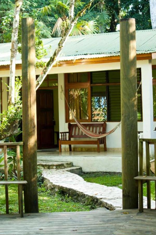 Hotel Jaguar Inn ตีกัล ภายนอก รูปภาพ