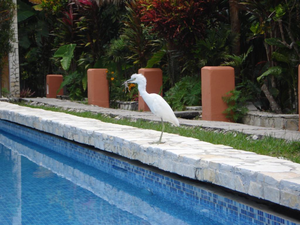 Hotel Jaguar Inn ตีกัล ภายนอก รูปภาพ