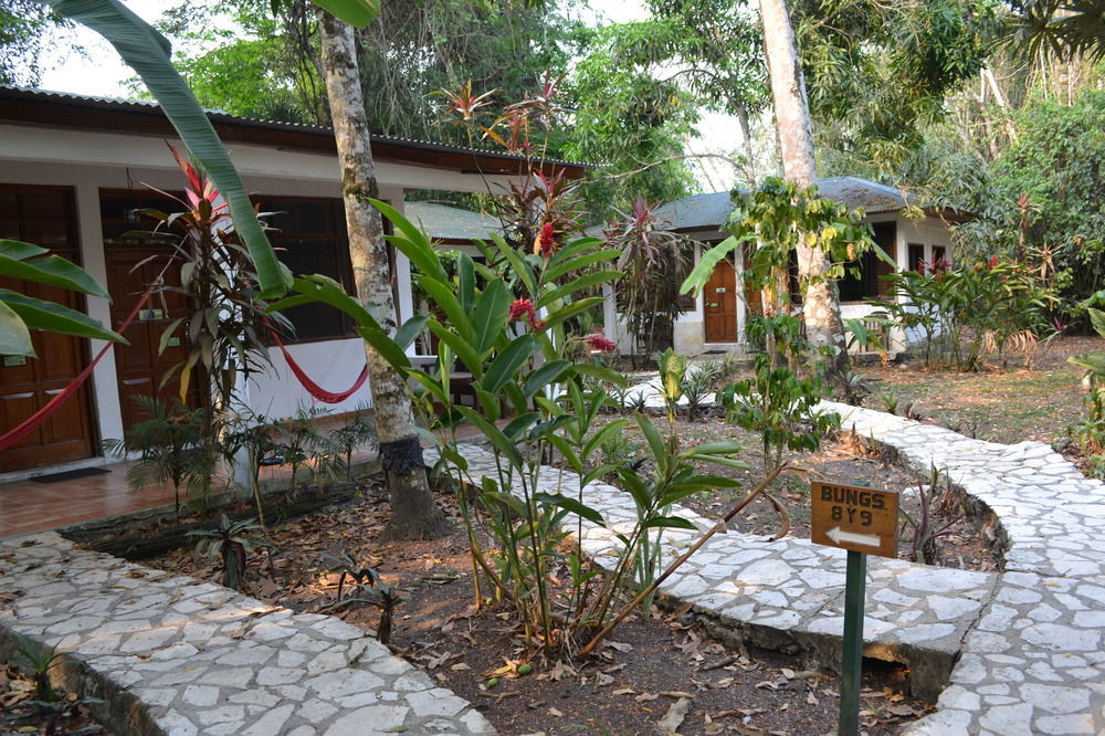 Hotel Jaguar Inn ตีกัล ภายนอก รูปภาพ