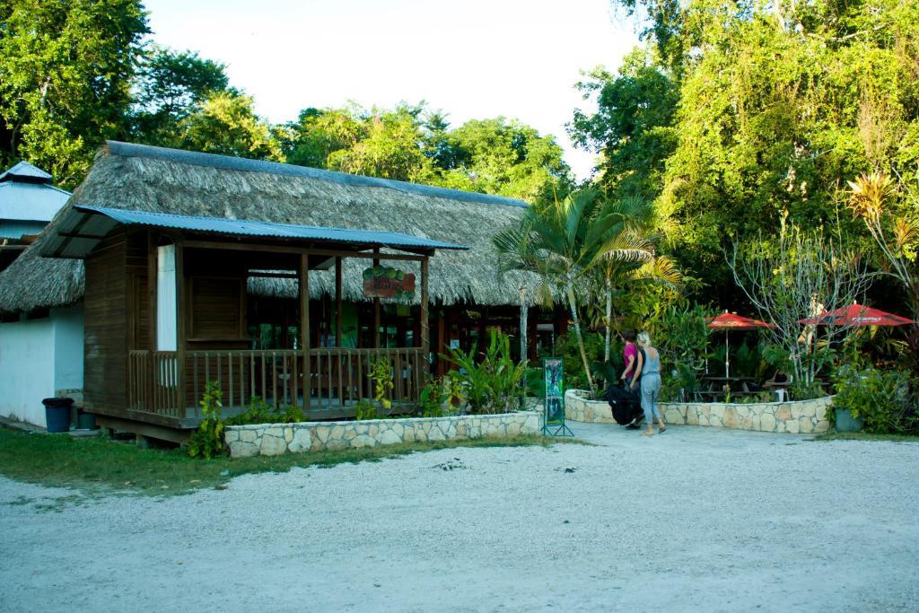 Hotel Jaguar Inn ตีกัล ภายนอก รูปภาพ