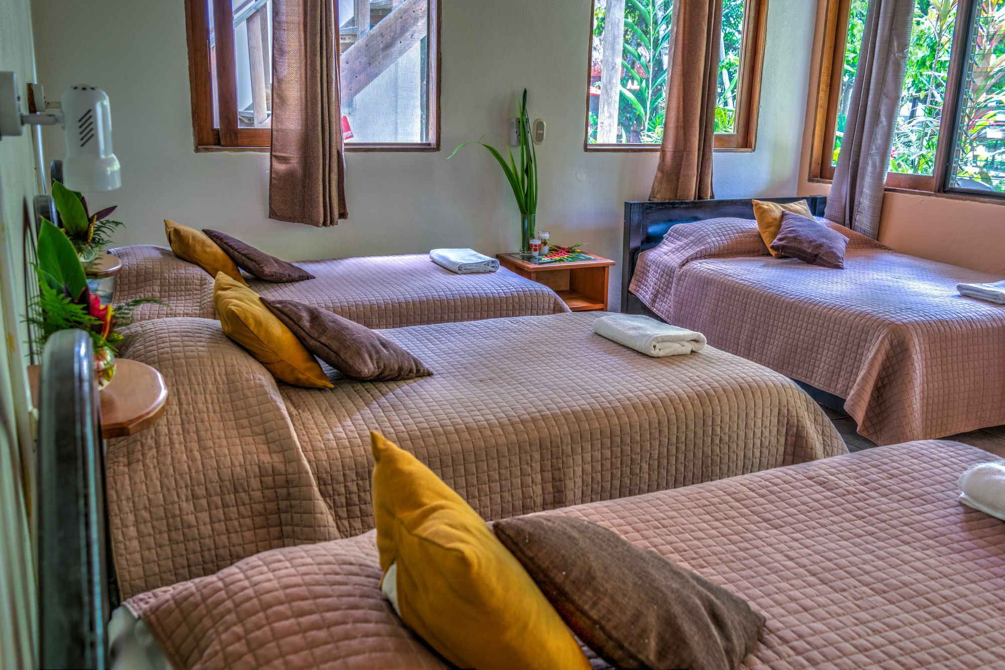 Hotel Jaguar Inn ตีกัล ภายนอก รูปภาพ