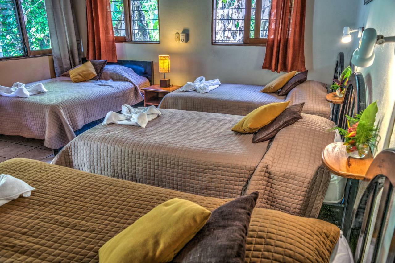 Hotel Jaguar Inn ตีกัล ภายนอก รูปภาพ